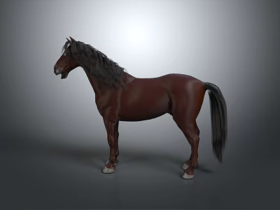 Brown Horse With Black Mane And Tail Standing On Gray Background With White Hooves 3d model