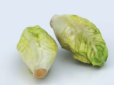 Two Fresh Green And White Lettuce Heads Displayed On White Background 3d model