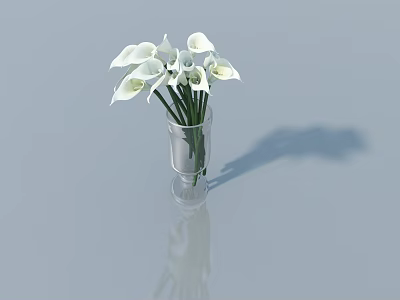 Swing Door with Transparent Vase Holding White Calla Lilies on Light Blue Background with Reflection 3d model