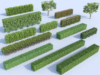 Various Pruned Garden Hedges in Different Shapes and Sizes with Small Trees 3d model