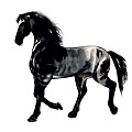 Modern horse ink animation horse walking 3d model