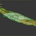 Fresh Crispy Baguette Wrapped in White Paper with Golden Crust