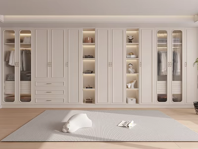 Modern White Wardrobe Interior Design With Glass Doors Drawers And Display Shelves 3d model
