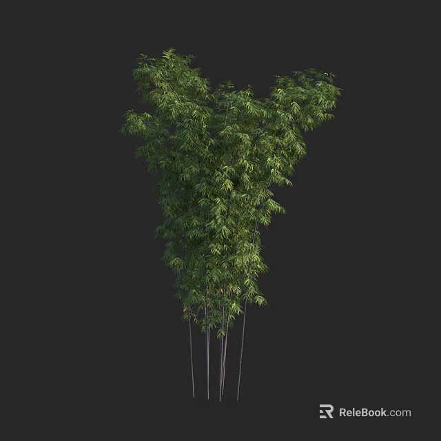 Bamboo Plant with Lush Green Foliage Slender Stems and Natural Growth Form 3d model 