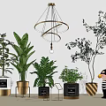 Indoor Bonsai Potted Plants With Decorative Metal Pots And Lush Green Foliage