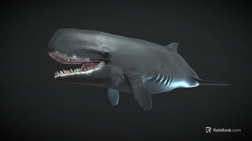 Realistic 3D Whale Model With Open Mouth Sharp Teeth And Dark Background 3d model 