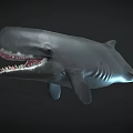 Realistic 3D Whale Model With Open Mouth Sharp Teeth And Dark Background 3d model