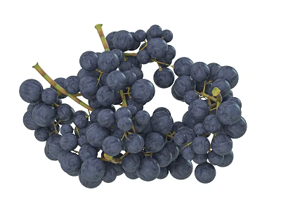 Fresh Ripe and Juicy Black Grapes in Bunches on White Background for Healthy Snacks 3d model