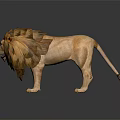 3D Rendered Lion With Fluffy Orange Brown Mane Standing On Shiny Surface