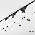 Modern Downlights And Spotlights On Black And White Ceiling Mounted Track With Golden Lamp Heads
