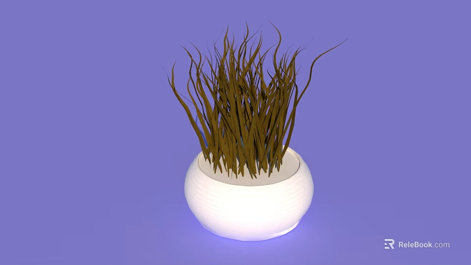Slender Brown Grass Potted Plant in White Ceramic Pot on Purple Background 3d model 
