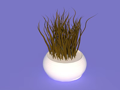 Slender Brown Grass Potted Plant in White Ceramic Pot on Purple Background 3d model