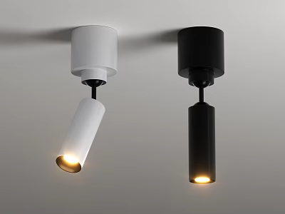 White And Black Ceiling Downlights Spotlights With Illuminated Warm Soft Light 3d model