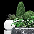 White And Black Roadside Planters With Green Shrubs And Decorative Plants For Urban Streets
