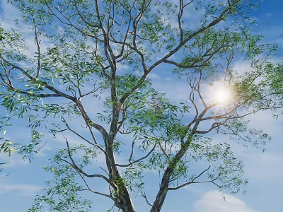 Tall Arbor Tree With Lush Green Leaves Under Bright Blue Sky And Sunlight 3d model