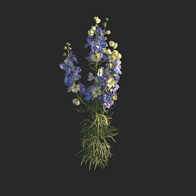 Beautiful Blue And White Flower Blooms With Green Stems And Leaves 3d model