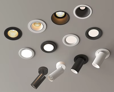 Various Styles LED Downlights And Spotlights With Black White Sleek Design 3d model