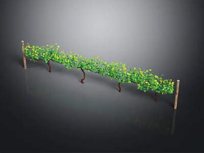 Grape Vine Trellis With Green Vines Yellow Small Flowers And Wooden Support Poles 3d model