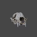 Detailed Animal Skull Skeleton With Sharp Teeth On Dark Background 3d model