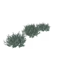 Ornamental Plant Arrangement Set With Silver Green Foliage And Purple Flowers For Home Decor