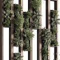 Stylish Indoor Green Plant Wall With Wooden Frame And Diverse Plants