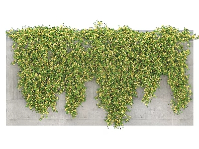 Lush Green Vines Growing On Gray Concrete Wall With Small Yellow Flowers 3d model