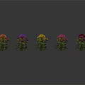 Colorful Flowers Red Yellow Purple Pink With Green Leaves In Wavy Pattern On Dark Background