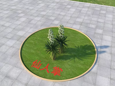 Cactus Plants With White Flowers In Circular Grass Area On Brick Pavement 3d model