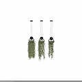 Three Hanging Basket Plants With Trailing Green Foliage And Black Hook Design