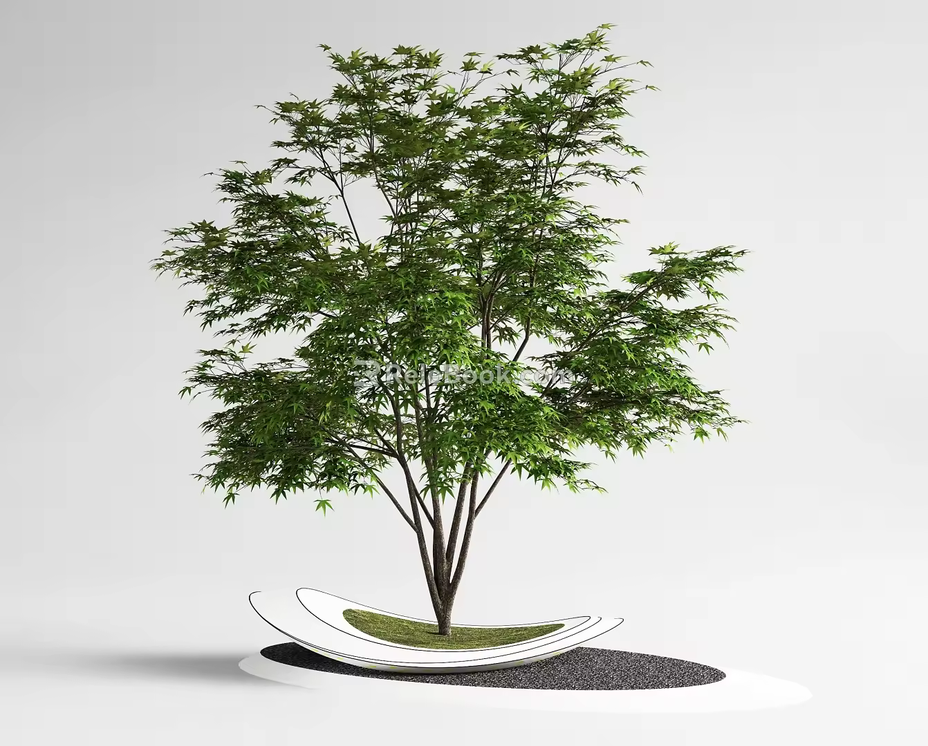landscape tree red maple claw maple pond 3d model