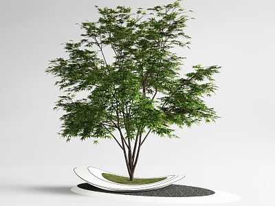 landscape tree red maple claw maple pond model