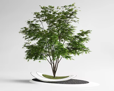 Ornamental Arbor With Lush Green Leaves On White Curved Base Surrounded By Gravel 3d model
