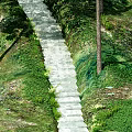 Scenic Municipal Road With Stone Slab Pavement Lined By Green Plants And Trees
