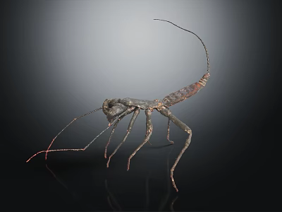 Metallic Mantis Sculpture With Long Legs And Antennae On Dark Background 3d model