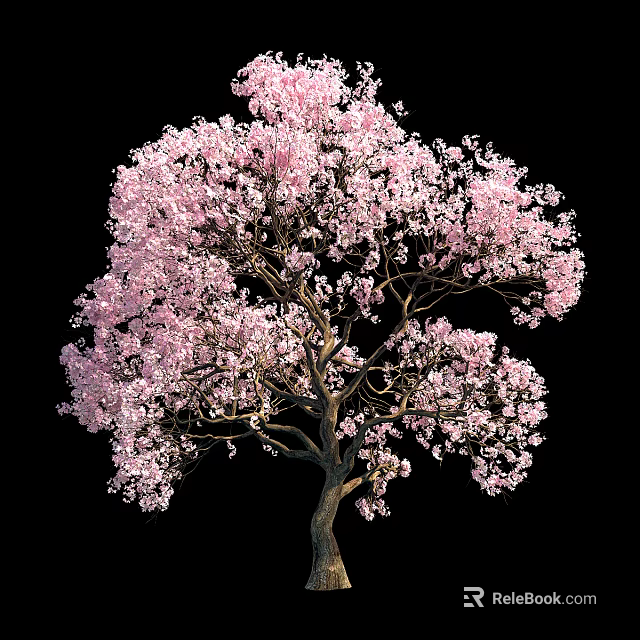Blooming Tree With Pink Flowers And Lush Branches Against Black Background 3d model 