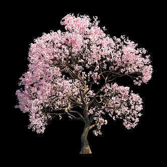 Sakura Tree Landscape Tree 3d model