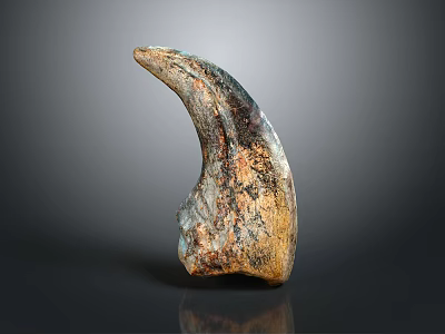 Prehistoric Creature Fossil Specimen With Textured Surface And Curved Shape 3d model