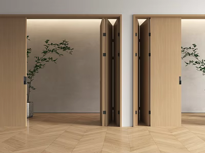 Modern Wooden Folding Doors Design For Home Interior With Herringbone Floor And Green Plant 3d model