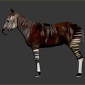Red Brown Striped Zebra Like Animal Standing On Gray Surface With White Legs