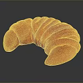 Freshly Baked Vibrant Red Croissant With Shiny Surface On Dark Background