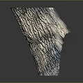 Natural Wooden Stump Decorative Vase With Bark Texture And Crafted Design