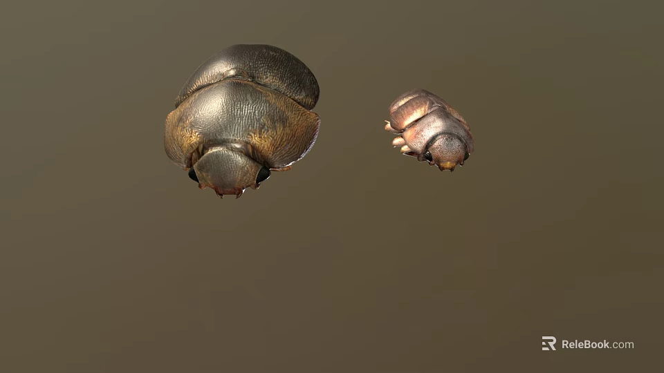 Detailed View Of Large And Small Metallic Beetles On Brown Background 3d model 