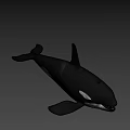 Realistic Black And White Orca Swimming In Blue Background