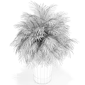 Green Palm Potted Plant in Silver Metal Pot with Lush Fronds for Indoor Decor