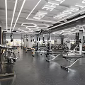 Modern Gym Interior With Various Fitness Equipment Dumbbells And Workout Benches