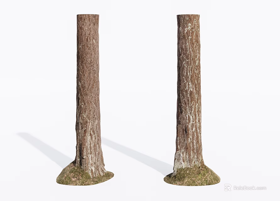 Tall Arbor Trunks With Green Grass At Base On White Background 3d model