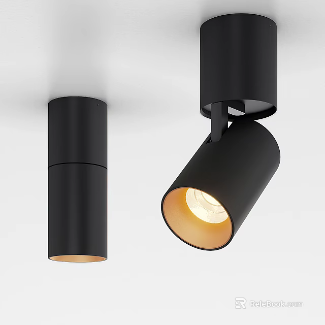 Modern Black Downlights and Spotlights with Warm Yellow Light for Home Lighting 3d model 