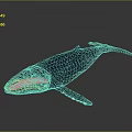Blue Whale Decorative Model with Shiny Surface and Realistic Design on Dark 3d model