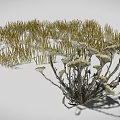 3D Rendered Various Plants Featuring Grass Shrubs Slender Branches And Clustered Leaves In Natural Landscape