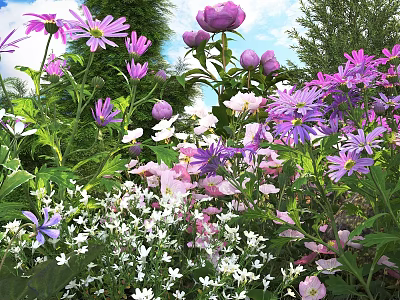 Vibrant Garden With Purple Pink And White Blooming Flowers And Green Foliage 3d model